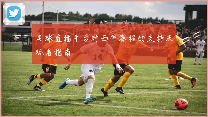 足球直播平台对西甲赛程的支持及观看指南
